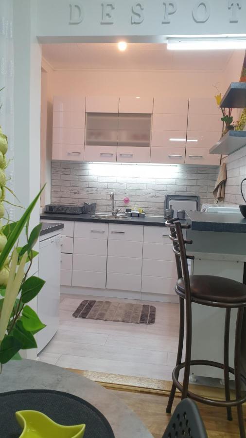 Despot Apartmani นิส ภายนอก รูปภาพ