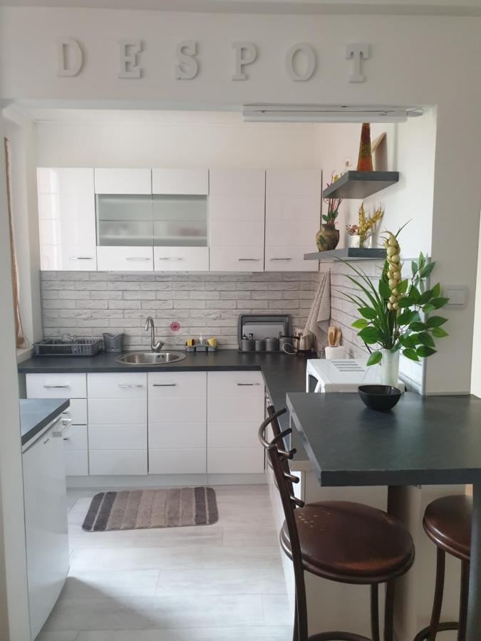 Despot Apartmani นิส ภายนอก รูปภาพ
