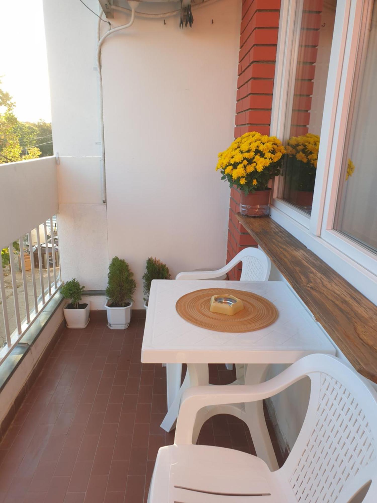 Despot Apartmani นิส ภายนอก รูปภาพ