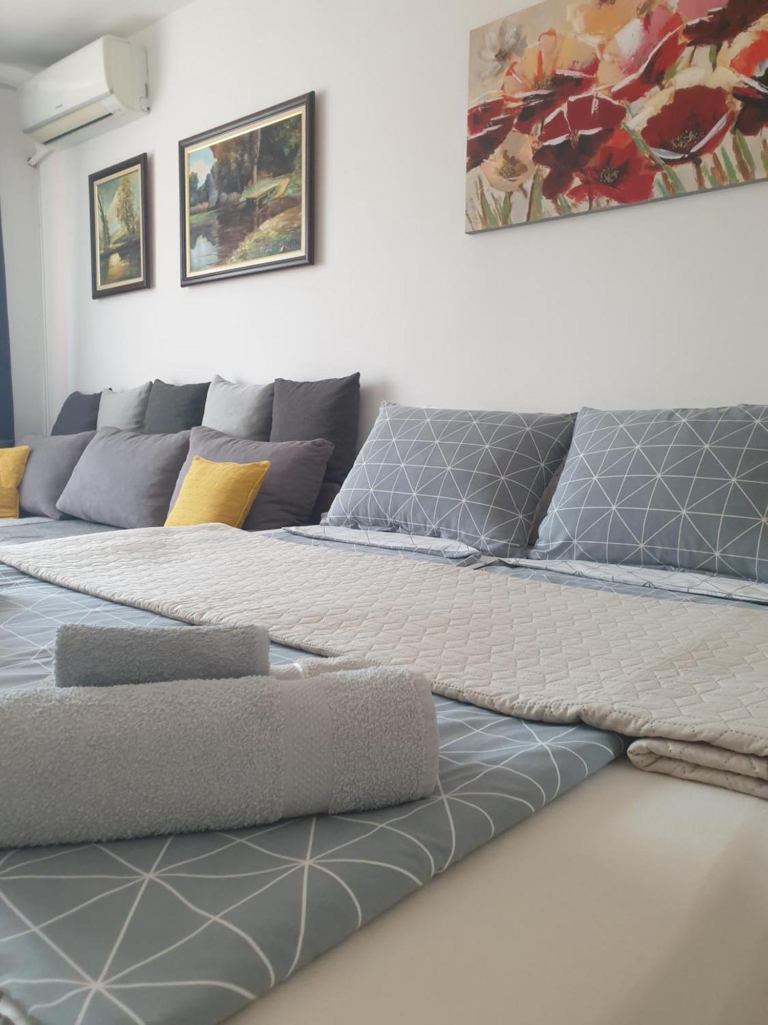 Despot Apartmani นิส ภายนอก รูปภาพ
