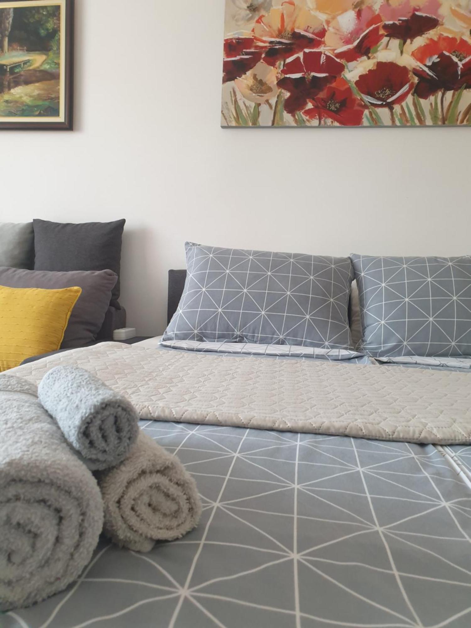 Despot Apartmani นิส ภายนอก รูปภาพ